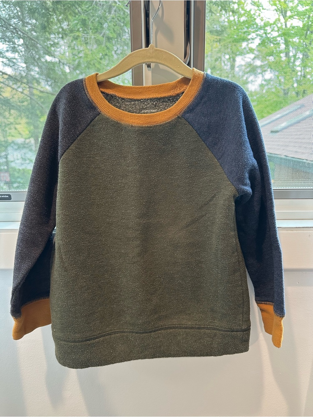 Kids Olive Green Raglan Sweater with Mustard Trim